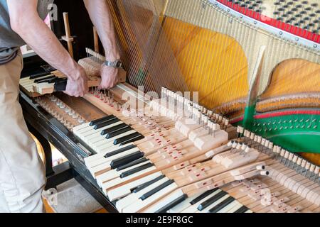 Setting up an old piano. The master repairs an old piano. Deep cleaning the piano. Hands of professional worker repairing and tuning an old piano Stock Photo