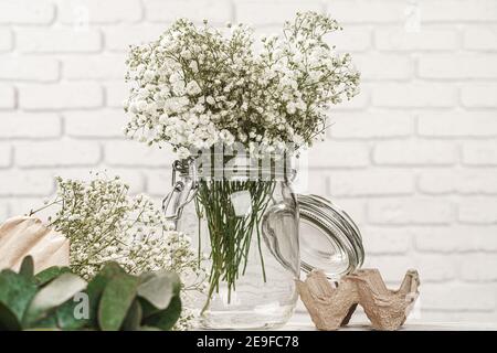 Baby's-breath flowers branches in white room close up Stock Photo