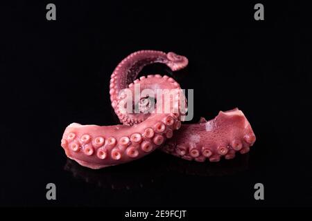 tentacles of stew octopus isolated on white background Stock Photo - Alamy
