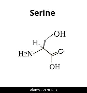 Serine amino acid. Chemical molecular formula Serine amino acid. Vector illustration on isolated background Stock Vector
