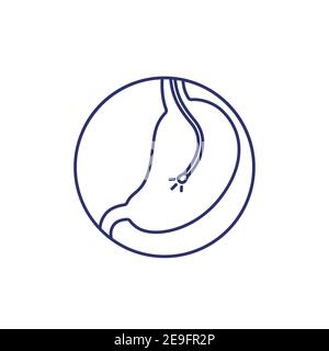 endoscopy icon, stomach and endoscope line vector Stock Vector