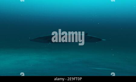 Closeup up of A beautiful Rorqual whale swimming in ocean water,3D render Stock Photo