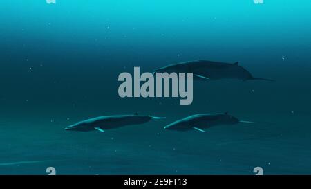 Rorqual whales swimming in the deep blue ocean water.3D render Stock Photo