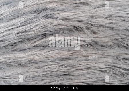 Grey fur rug texture of a textile with long fibers. Natural structure of a  soft fabric decoration surface. Fluffy detail looking like animal hair  Stock Photo - Alamy