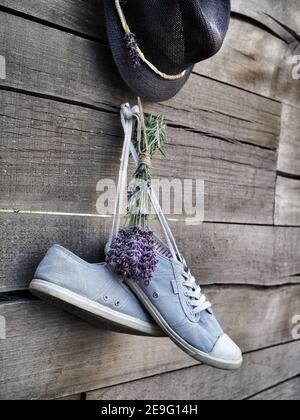 Pair of blue sneakers, blue straw hat and bunch of lavenders hanging on wooden fence in the garden. Stock Photo