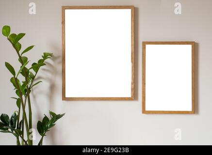Interior design of living room with two brown mock up photo frame on modern wall, blank canvas with beautiful plant Elegant personal accessories. copy Stock Photo