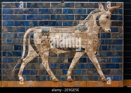 ISTANBUL, TURKEY - MARCH 16, 2014: Bull on Babylonian mosaic, fragment of the Ishtar Gate in Istanbul, Turkey. White buffalo on vibrant blue ceramic t Stock Photo