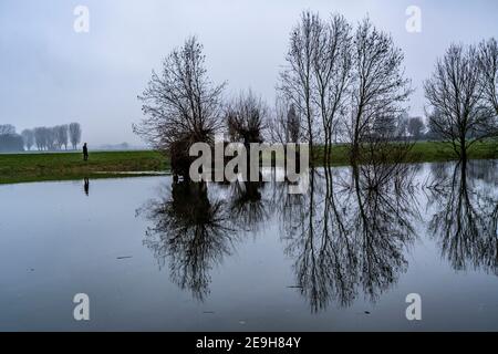 Flooding on the Rhine near Düsseldorf-Kaiserswerth, foggy weather, riverside paths and Rhine meadows partly flooded, first restrictions on navigation Stock Photo
