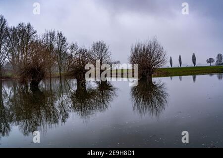 Flooding on the Rhine near Düsseldorf-Kaiserswerth, foggy weather, riverside paths and Rhine meadows partly flooded, first restrictions on navigation Stock Photo