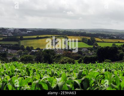 Rolling Hills With Grainfields And A Corn Field In The Foreground At Penzance Cornwall England On A Sunny Summer Day With A Few Clouds In The Sky Stock Photo