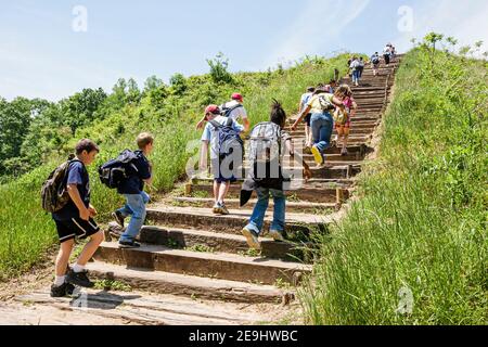 Alabama Moundville Archaeological Park Site,Middle Mississippian Era culture Native American Indian,historical village museum platform mound steps,stu Stock Photo