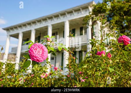 Alabama Montgomery Old Alabama Town restored historical,house home outside exterior front entrance roses flowers, Stock Photo