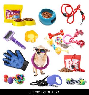 https://l450v.alamy.com/450v/2e9hx3w/collage-of-cute-funny-dog-and-different-pet-accessories-on-white-background-2e9hx3w.jpg