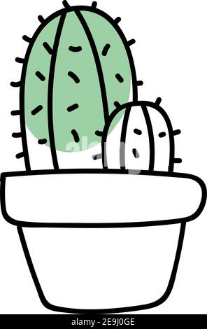 Two cactuses in a pot, illustration, vector on white background. Stock Vector
