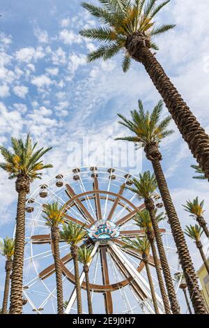Alabama Orange Beach The Wharf shopping dining entertainment complex,Ferris Wheel date palm trees, Stock Photo
