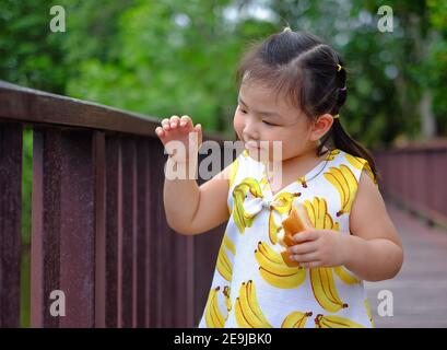 A cute young Asian girl is feeding bread to pigeons and fish at public park in Thailand. Stock Photo