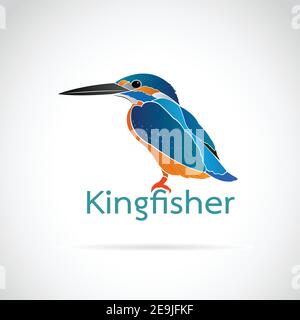 Vector of Common kingfisher (Alcedo atthis) on white background. Bird Design. Easy editable layered vector illustration. Wild Animals. Stock Vector