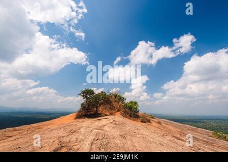 The mountain top of Pidurangala Rock. In Sri Lanka. Blue Sky daylight, panoramic view Stock Photo