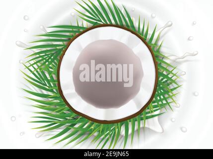 Broken coconut in milk splash and drops realistic vector, half coco nut with green palm leaves, on white wavy background, top view. Design element for food packaging, natural organic cosmetics. Stock Vector