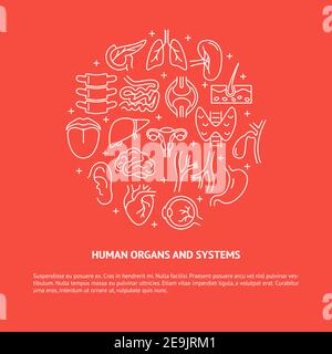 Human internal organs round banner in thin line style. Medical science ...