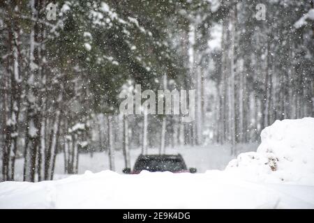 Car driving in a fir trees forest in winter during a big snowfall, out on focus, branches of tree covered by the snow on focus Stock Photo
