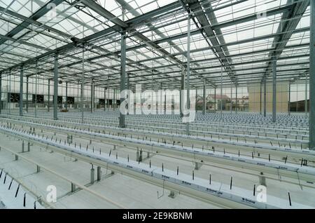 Wide angle view of a agricultural greenhouse irrigation system installation used for the growing tomatoes hydroponically, on inert media. The system here is using dutch technology but is installed in the Langfang district of Hebei, south of Beijing. © Olli Geibel Stock Photo