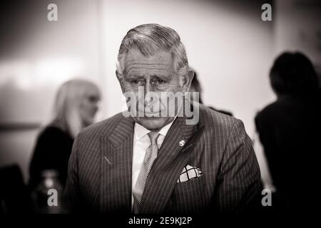 Prince Charles visiting Essex University for the Big Bang Science and Engineering Fair Stock Photo