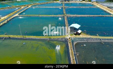 Shrimp Pond and Shrimp Farm. Bohol, Philippines. Ponds for shrimp farming. Stock Photo