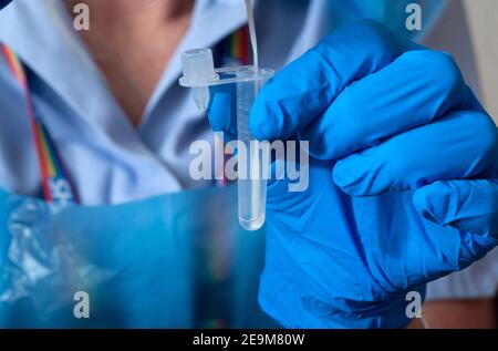 INNOVA SARS-CoV-2 Antigen Rapid Qualitative Test. A swab is dipped into the extraction solution in a rapid test for Covid-19. Stock Photo