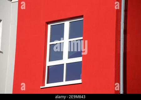 New white window with muntin bars Stock Photo