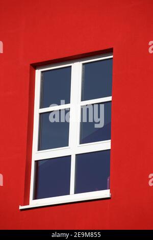 New white window with muntin bars Stock Photo