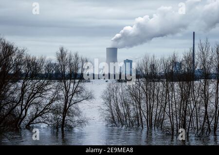 Duisburg, North Rhine-Westphalia, Germany - Flooding on the Rhine, trees are under water on the dike in the Marxloh district, Steag coal-fired power p Stock Photo