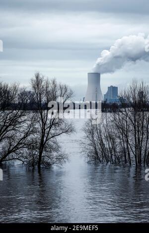 Duisburg, North Rhine-Westphalia, Germany - Flooding on the Rhine, trees are under water on the dike in the Marxloh district, Steag coal-fired power p Stock Photo