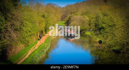 A shire-horse drawn canal barge providing tourist cruises on the Kennet and Avon canal near Kintbury in Berkshire England. Stock Photo