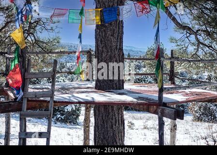 A platform tree house with hanging prayer flags and a homemade wooden ladder built in the mountains amongst pine trees, Northern New Mexico, USA. Stock Photo