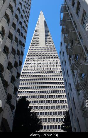 SAN FRANCISCO, USA - APRIL 9, 2014: Transamerica Pyramid skyscraper in San Francisco, USA. It is the tallest building in San Francisco with height of Stock Photo