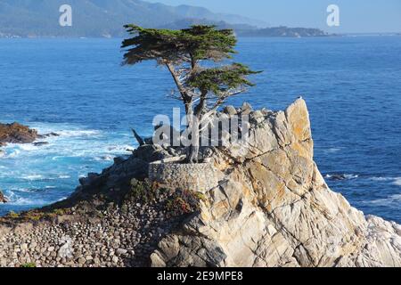 MONTEREY, CALIFORNIA - APRIL 7, 2014: Lone Cypress tree view along famous 17 Mile Drive in Monterey. Sources claim it is one of the most photographed Stock Photo