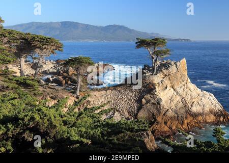 MONTEREY, CALIFORNIA - APRIL 7, 2014: Lone Cypress tree view along famous 17 Mile Drive in Monterey. Sources claim it is one of the most photographed Stock Photo