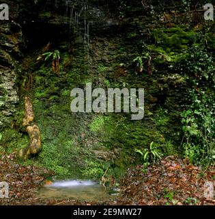 Long exposure of a little waterfall against a mossy green background Stock Photo