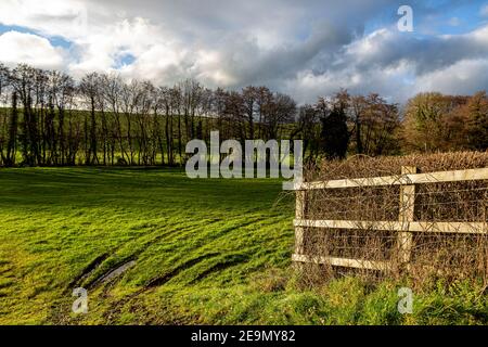 Footpath Sign, Brown, Close-up, Devon, Direction, Directional Sign, Famous Place, Footpath, Guidance, Hiking, Hiking Pole, Horizontal, Nature, Nettle, Stock Photo