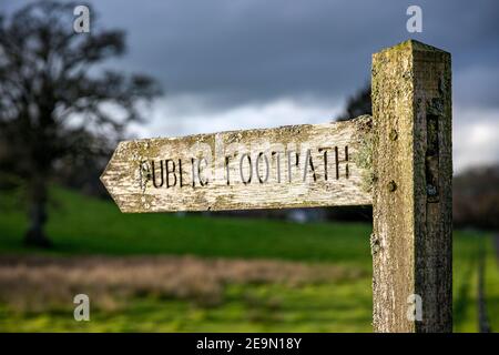 Footpath Sign, Brown, Close-up, Devon, Direction, Directional Sign, Famous Place, Footpath, Guidance, Hiking, Hiking Pole, Horizontal, Nature, Nettle, Stock Photo