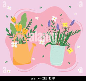 flowers houseplants in ceramic pots Stock Vector