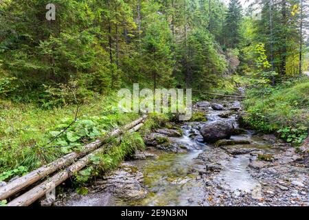 Flowing mountain stream in green lush forest in Dolina Strazyska Valley in Tatra Mountains, Poland.
