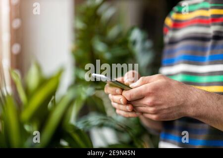 Male hands typing on smartphone Stock Photo