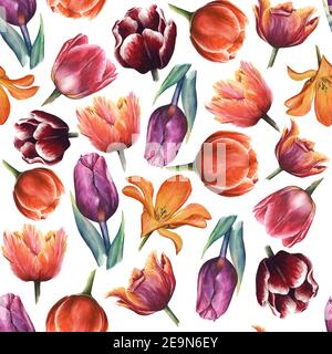 Watercolor seamless flower pattern with tulips. Hand painted floral ornament isolated on white background Stock Photo