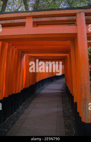 Walking path with a tunnel of red torii gates at Fushimi Inari, in Japan Stock Photo