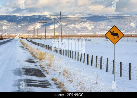 Moose Crossing Road Sign in Rural Area Stock Photo