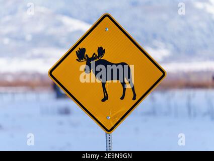 Moose Crossing Sign in Teton Valley Idaho Stock Photo