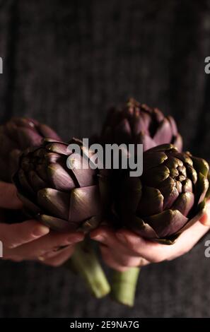 Fresh artichokes isolated on dark background. Closeup. Stock Photo