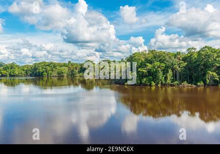 Amazon rainforest lake reflection, the Amazon river basin comprise Bolivia, Brazil, Colombia, Ecuador, Peru, (French) Guyana, Suriname, Venezuela. Stock Photo